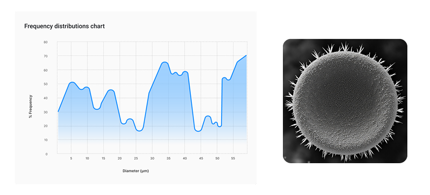 SEMなどの画像を自動解析